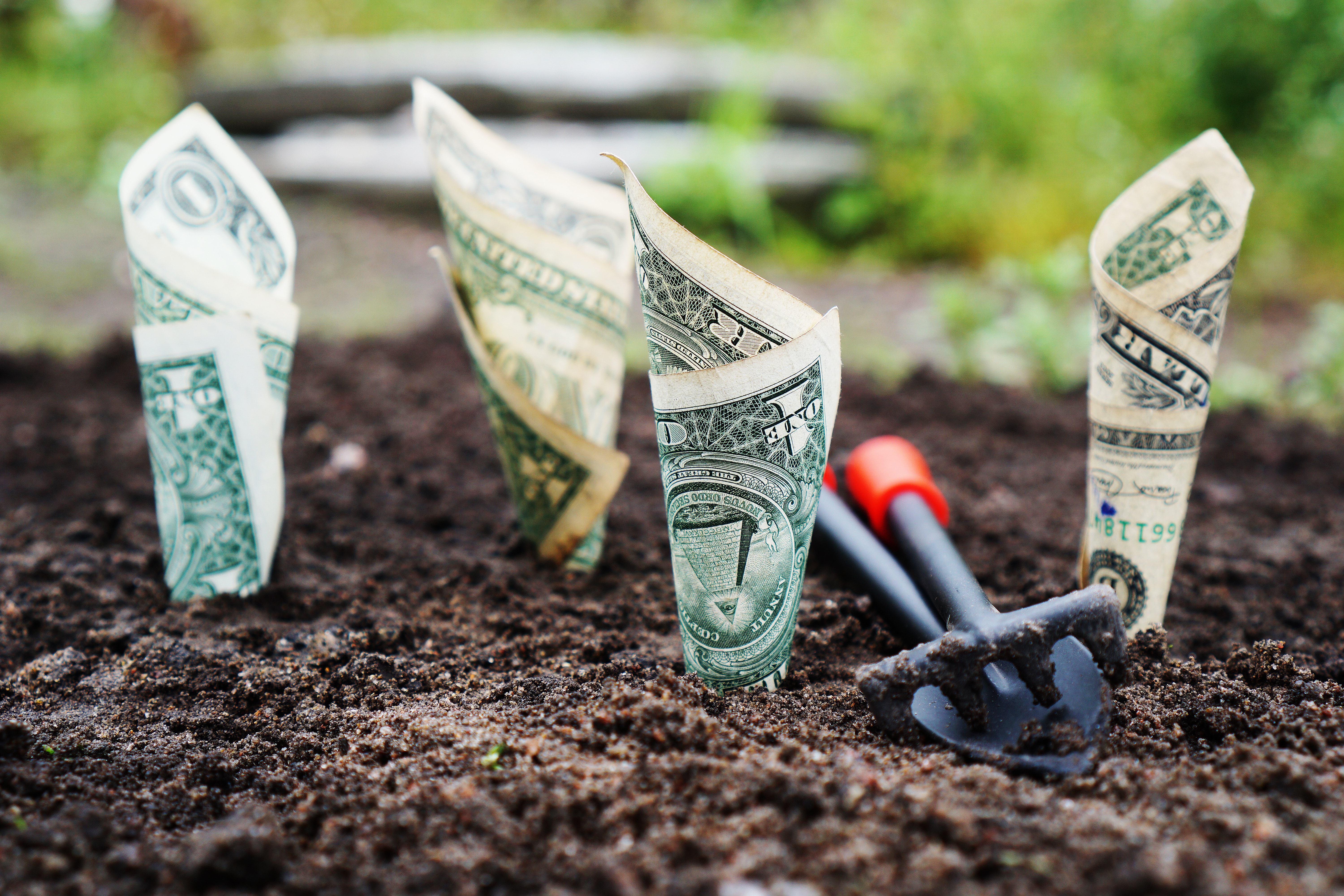 Money growing out of the earth
