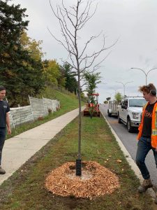 Creating a landscaping company